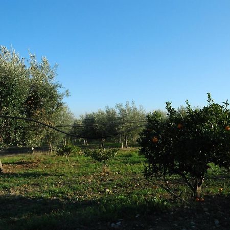 Agriturismo - B&B "La Funicolare" Francavilla Marittima Экстерьер фото