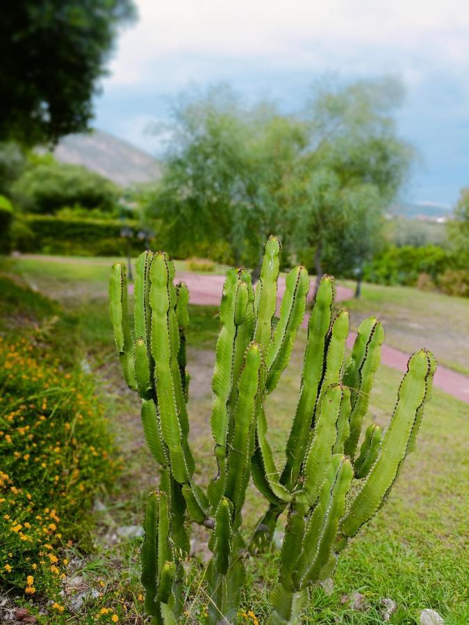 Agriturismo - B&B "La Funicolare" Francavilla Marittima Экстерьер фото